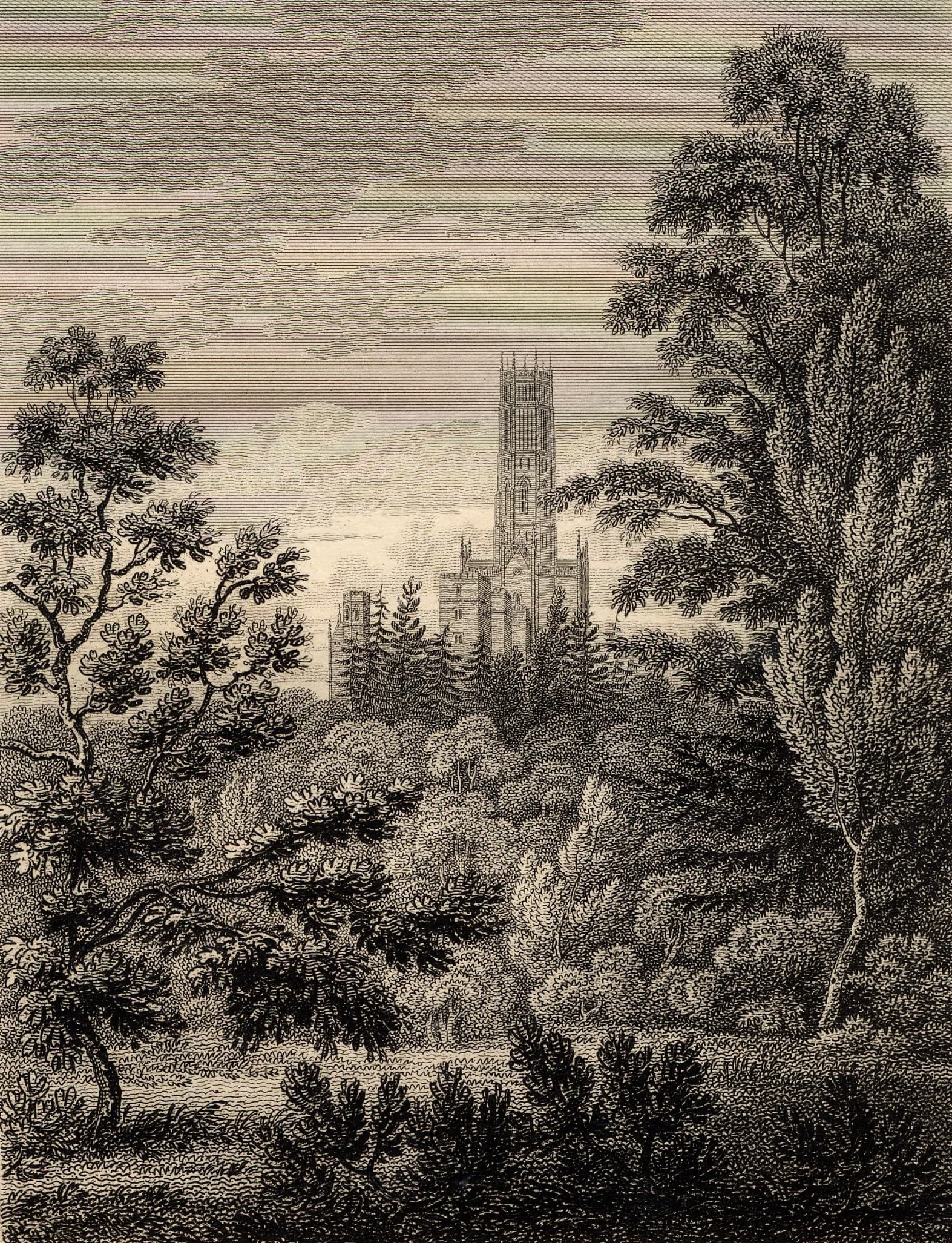 Fonthill Abbey from the American Plantation, James Storer, from A Description of Fonthill Abbey, Wiltshire, 1812